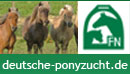 fn deutsche ponyzucht