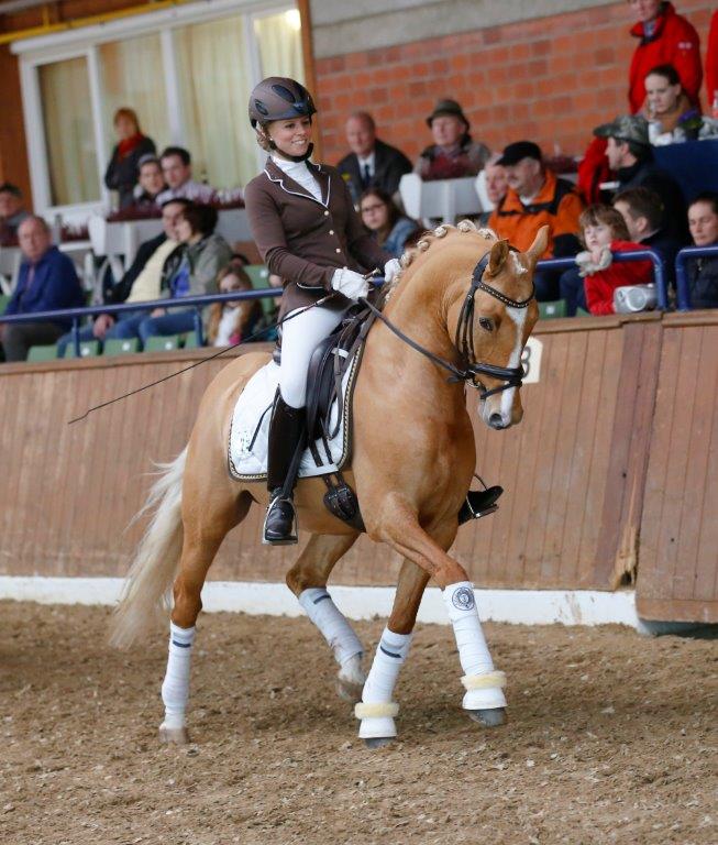 Diamond Heart mit Pia Niehage hier bei der Hengstschau in Alsfeld