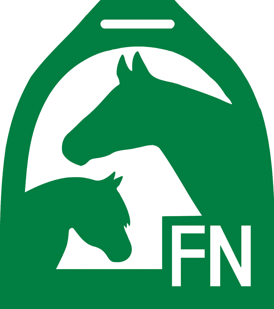 logo fn