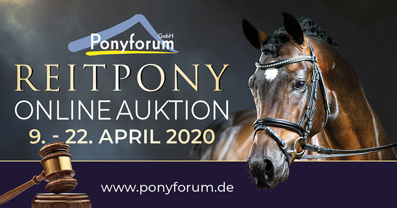 Reitpony Onlineauktion April 2020 v2