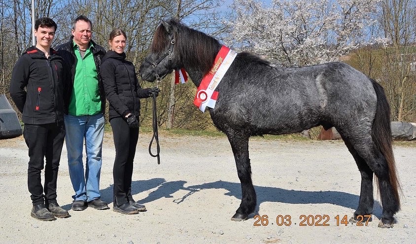 Siegerhengst Vilhelm von der Igelsburg mit von links Christian Simmer Klaus Ohneberg und Elisa Graf Foto Magnus Thurner