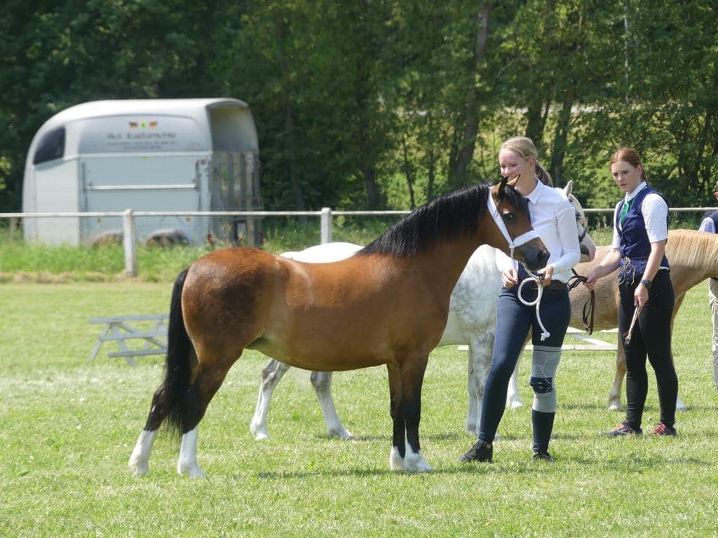 Welsh A Champion und Tagessieger