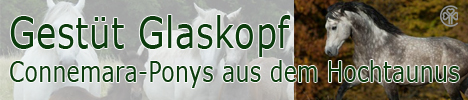 BannerGlaskopf