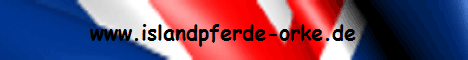 islandpferde orke de