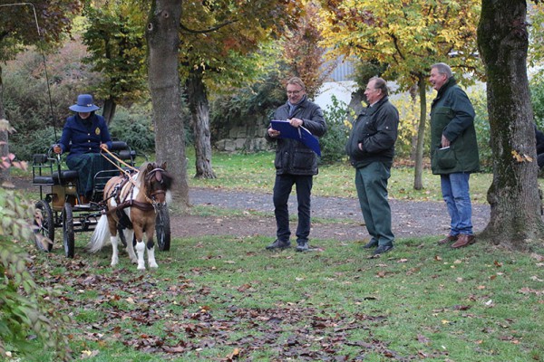 Iggy Pop von der Harkrufe mit seiner Besitzerin Natalie Jacobs vor den Richtern Klaus Biedenkopf, Wolfgang Benschus und Andreas Müller