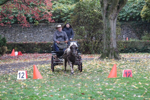 Jossa von Clus mit seinem Besitzer Hans Josef Schlömer