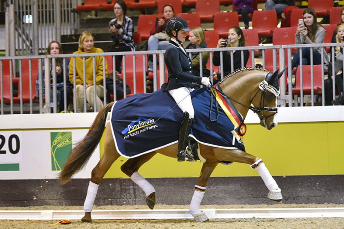 Cosmo Royale und Danica Duen werden Bundessieger der jüngeren Dressurhengste