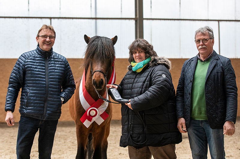 Carola Krokowski wurde als Züchterin und Besitzerin des Siegerhengstes Garpur von der Igelsburg mit der FN- Medaille in silber ausgezeichnet 