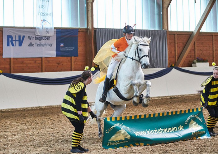 Kinzighausen Hazy Majesto mit Sissi Wirth