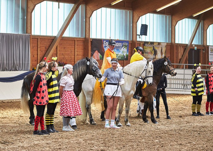 Mit dem Motto Frühlingserwachen eröffnete das Connemara-Gestüt Kinzighausen eine bunte Hengstschau