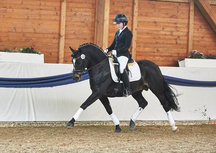 Sunny Boy S, von Luisa Eitenmüller gekonnt in Szene gesetzt