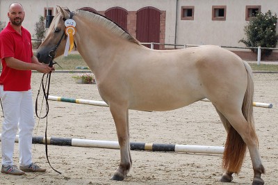 Samira, Bundesprämienstute