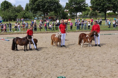 Begeisterung bei jung und alt, hier im Ring der Shetlandstuten