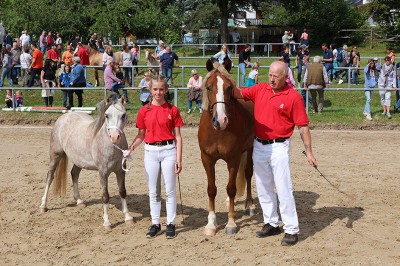 Moonrose Roxy  wurde  Gesamtsiegerin im Ring der Ponys