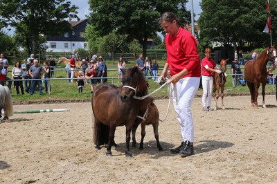 Reservesiegerin der Ponys- Sandrine JP