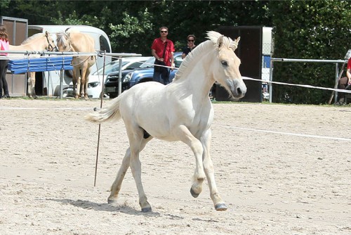 1d Geri v. Golf Gudena BPrH