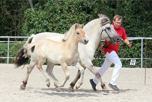 1f Vjell v. Vacceur BPrH VEH