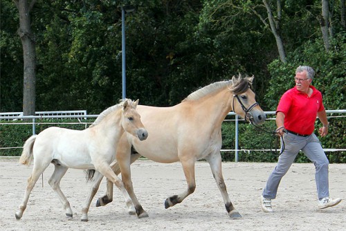 1f Noel v. Njord Halsnaes