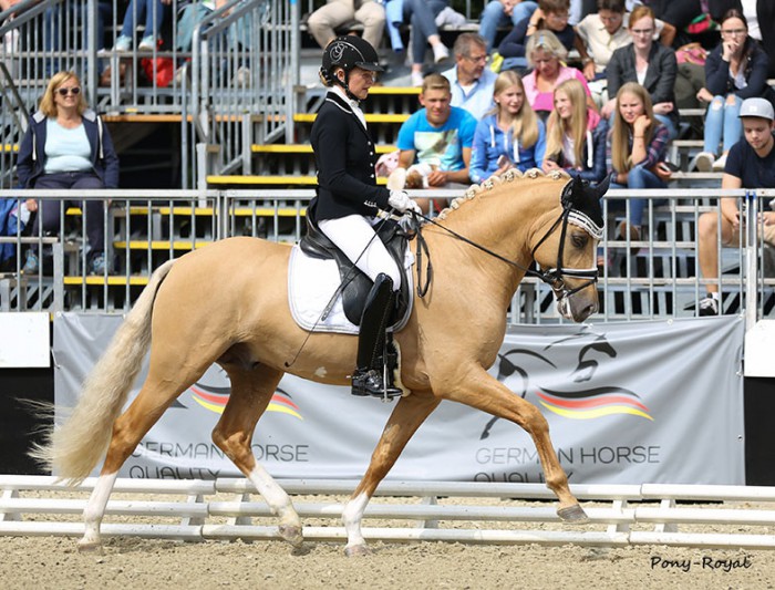 Casino Gold und Danica Duen gewinnen die Silbermedaille der 4-jährigen Stuten und Wallache