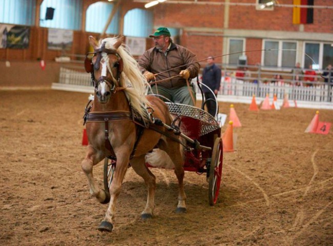 Bestzeit-für-Pr.H.-Smaragd-mit-Franz-Scharf-im-Kegelparcours
