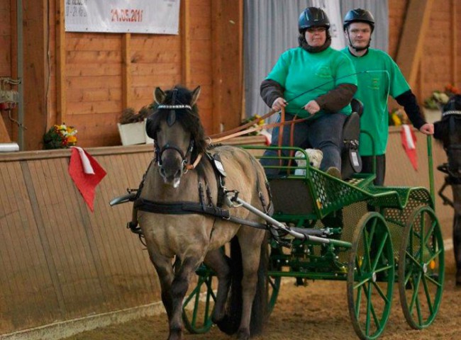 Pr.H.-Nougat-präsentiert-im-Einspänner-von-Monika-Prinz