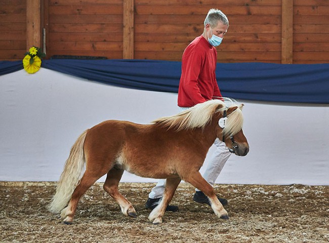 Barkeeper aus dem Rehbachtal