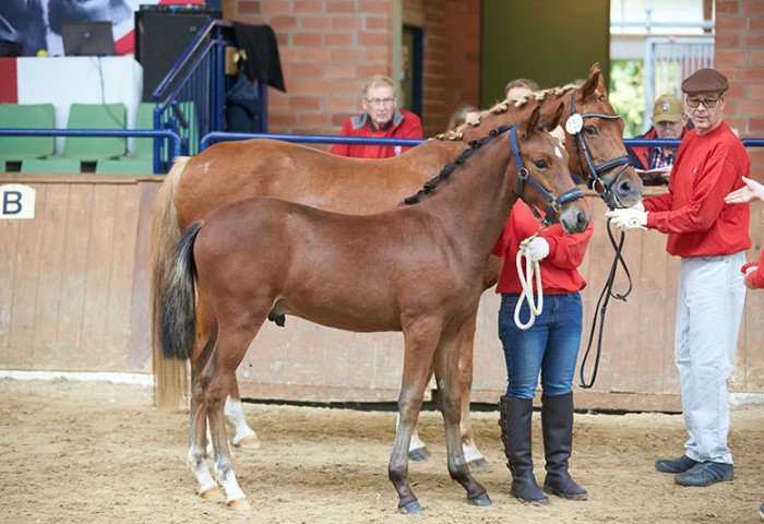 Never-walk-Alone-(2)