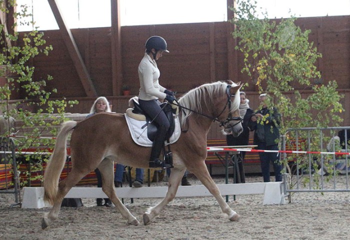 Stolze Almfee aus dem Eschachtal mit Fremdreiterin Dorothee Lehan