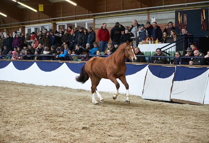 Das Zuschauerinteresse war groß
