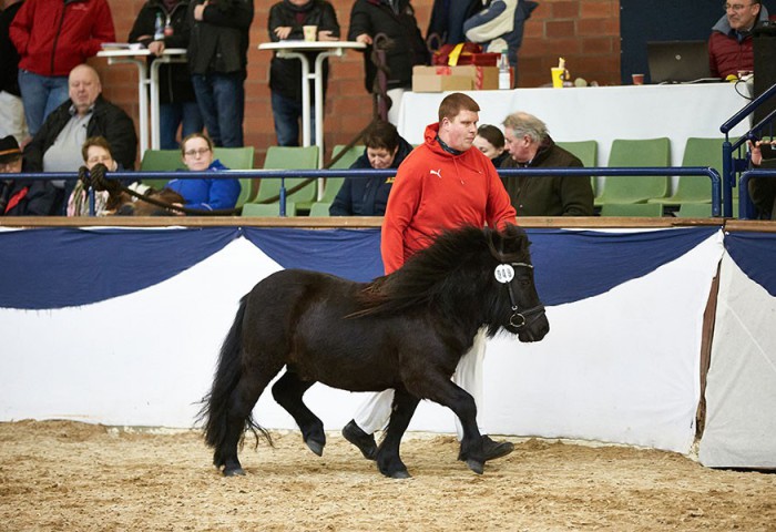 Nice Paul vom Spiekergarten