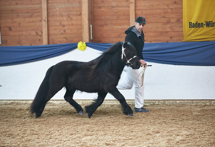 Opel v. Stal Het Noordereind