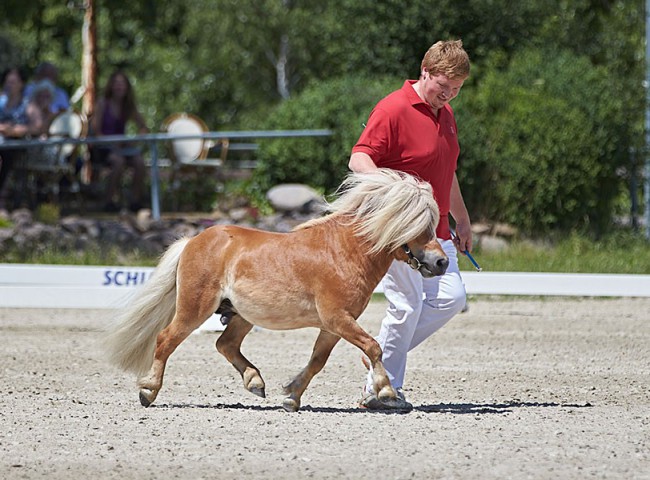 2023MueckePonyJub0008