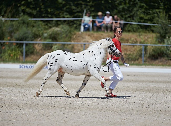 2023MueckePonyJub0012