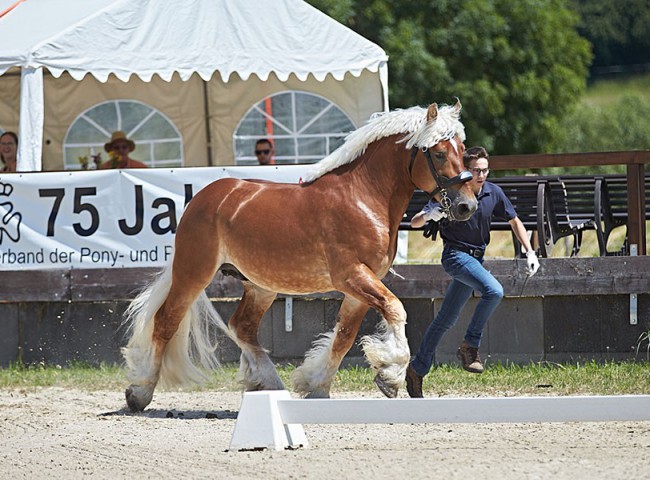 2023MueckePonyJub0013