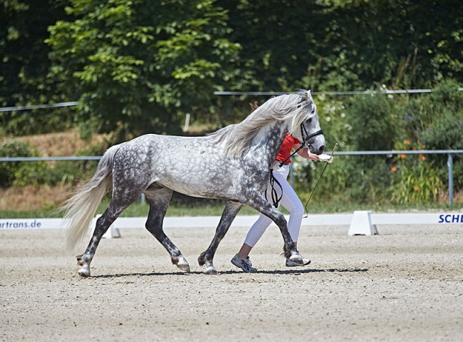 2023MueckePonyJub0015