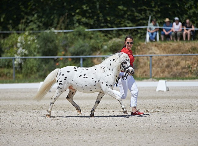 2023MueckePonyJub0017