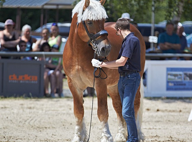 2023MueckePonyJub0018