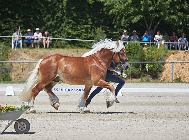 2023MueckePonyJub0020