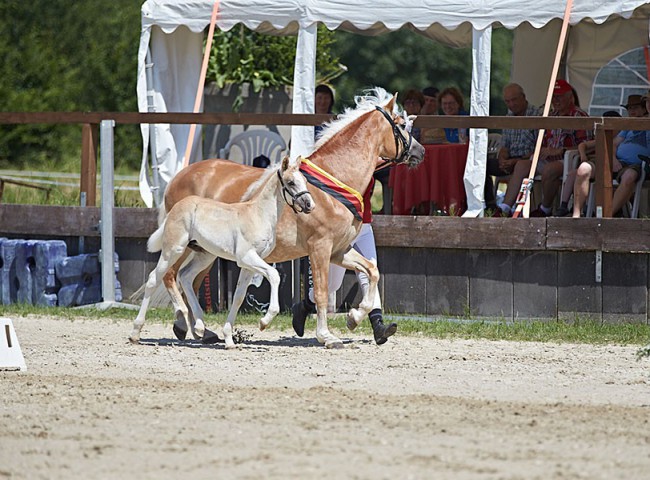 2023MueckePonyJub0074