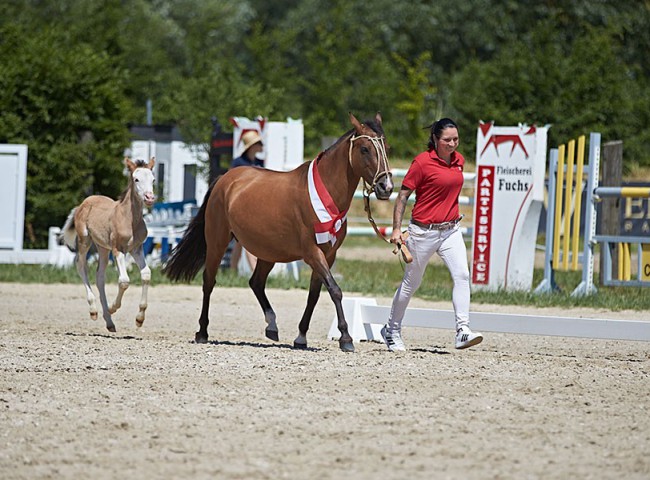 2023MueckePonyJub0076