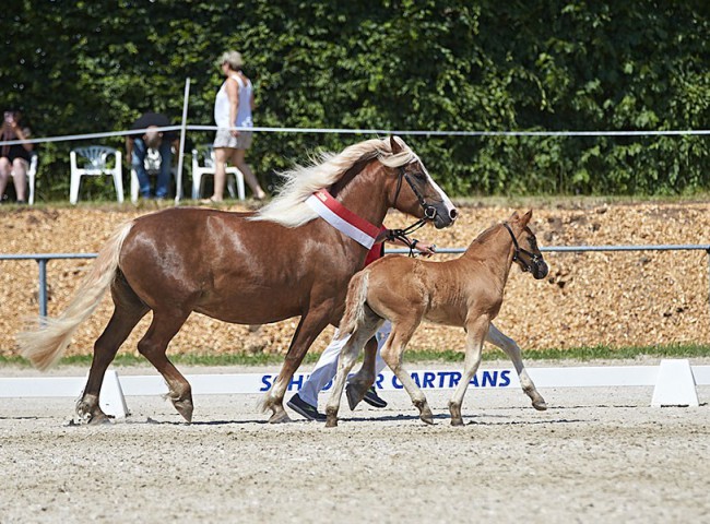 2023MueckePonyJub0086