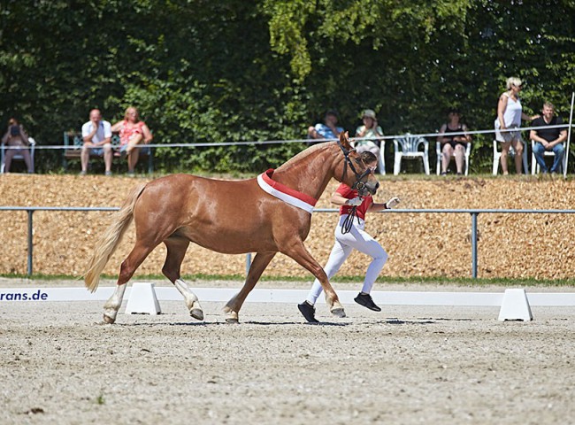 2023MueckePonyJub0087