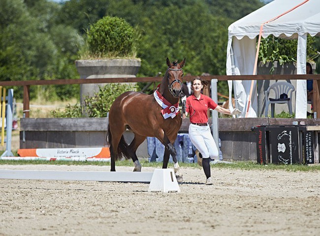 2023MueckePonyJub0089