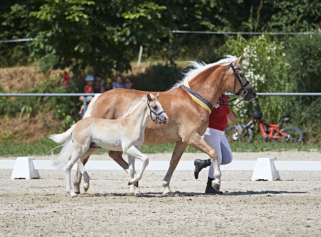 2023MueckePonyJub0090