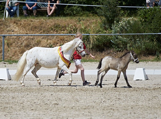 2023MueckePonyJub0092