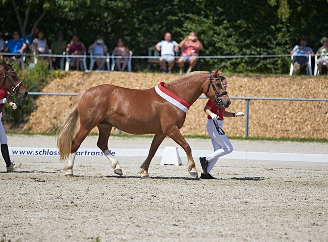 2023MueckePonyJub0093