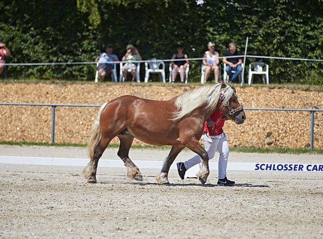 2023MueckePonyJub0094