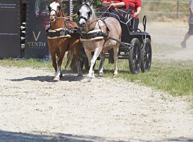 2023MueckePonyJub0096