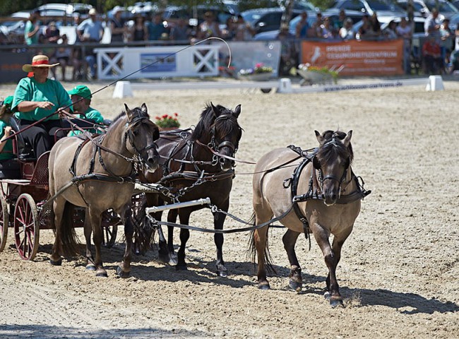 2023MueckePonyJub0099