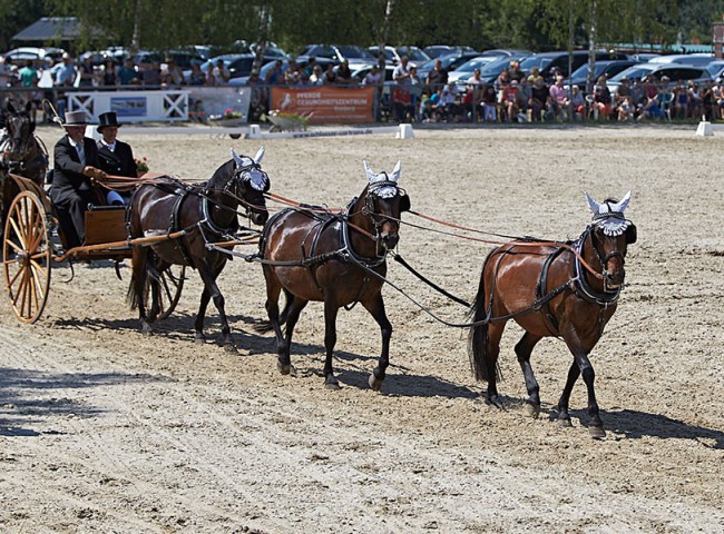 2023MueckePonyJub0100